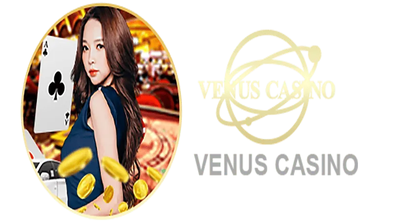 ONEBRA BET Informações básicas sobre o saguão do cassino Venus